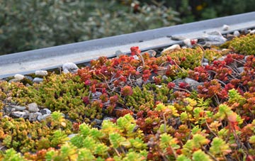 the cost of Treworld green roof installation